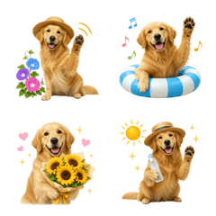 Summer! Golden Retriever