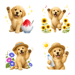 Summer! Golden Retriever puppy