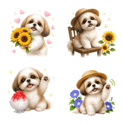 Summer! Shih Tzu