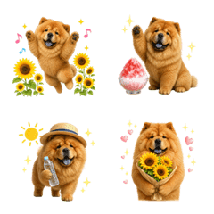 Summer! Chow Chow