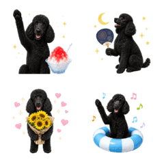Summer! Standard Poodle