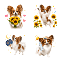 Summer! Papillon