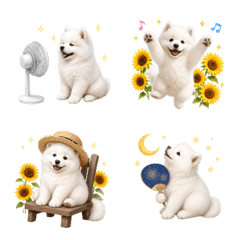 Summer! Samoyed puppy