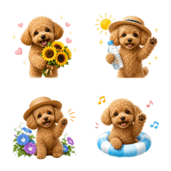 Summer! Toy Poodle