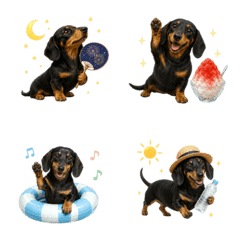 Summer! Dachshund