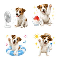Summer! Jack Russell Terrier