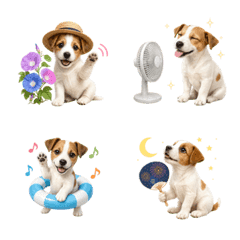 Summer! Jack Russell Terrier puppy