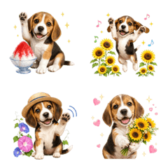 Summer! Beagle puppy