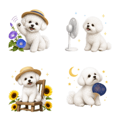 Summer! Bichon Frise