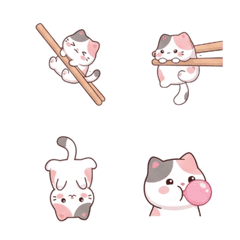Kitty caught with chopsticks