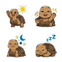 Galapagos giant tortoise Daily Emoji