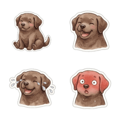 Puppy Pop.