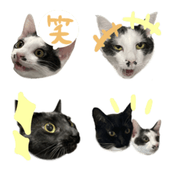 pjaemtkanukf