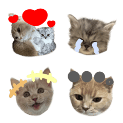 pkanvjdnvkdmtj