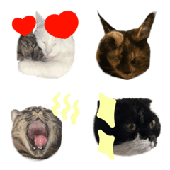 pgadmtqjewtpja