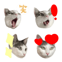 pjadvjdmwtpjadwuj