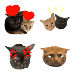 すみむぎ