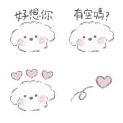 A fluffy puppy Taiwan