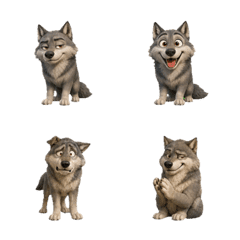 Mischievous Gray Wolf Face