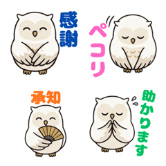 Japanese Style White Owl Polite & Daily