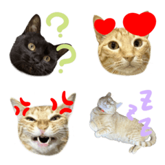 pgjaewtqjaewtke