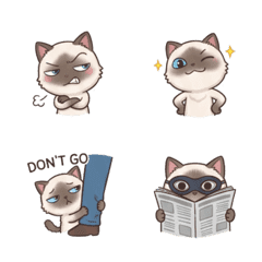 agdoll cat is so cute B3