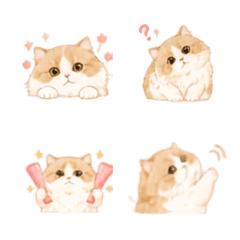 Fluffy Cat Emoji for Everyday