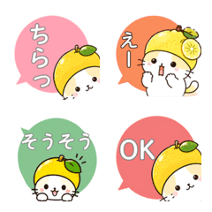 Tokushima Yuzu Cat Reactions