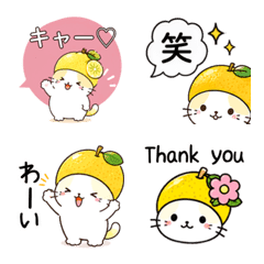 Tokushima Yuzu Cat Emoji