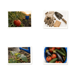 Real Home Garden Animated Emoji