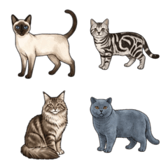 Cute Cats of the World Emoji Series 1