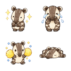 Shy Baby Tapir Notes