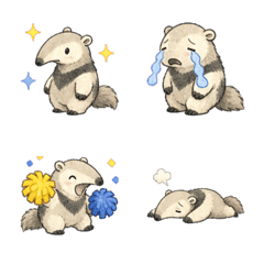 Round Anteater Daily