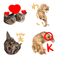 pgadmtpjdmuja