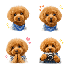 ふわもこトイプードル絵文字