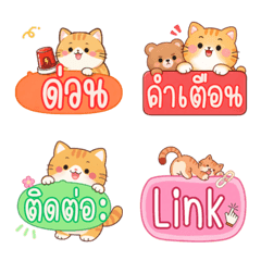Momo Cat Memo: Work Story