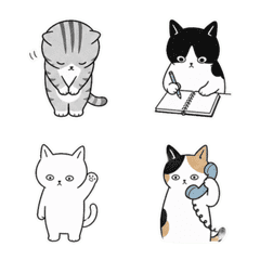 Little Cat Workshop Animated Emoji
