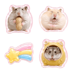 Sweet Hamsters