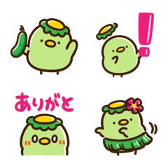 夏のもちもちカッパ