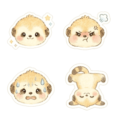 もちもちミーアキャットの赤ちゃん
