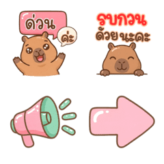 Cute Capybara Work Money
