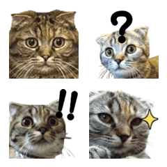スコティッシュ琥珀絵文字