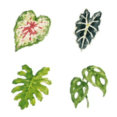 Living with Houseplants 2
