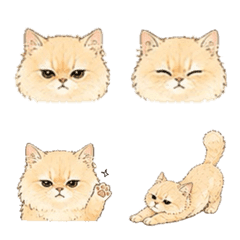 むぎ｜ふわもこ猫の毎日絵文字