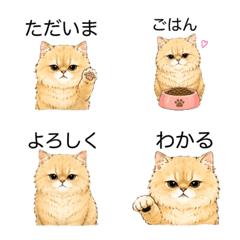 むぎ｜ふわもこ猫の毎日絵文字2