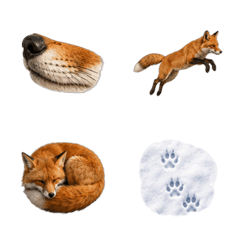 Fox 3D