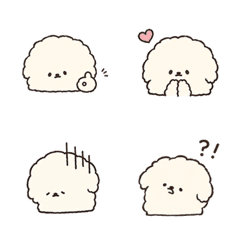 Bichon Frise Feelings