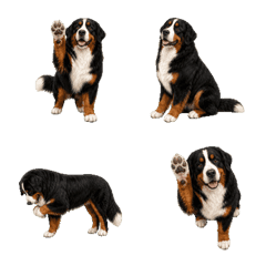 Tiny Bernese Dog Animated Emoji