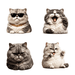 Fat cat By MiMint V.5