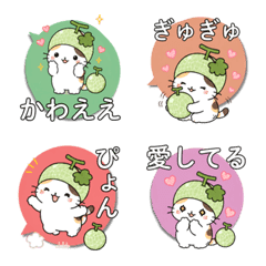 Melon Cat LOVE Emoji